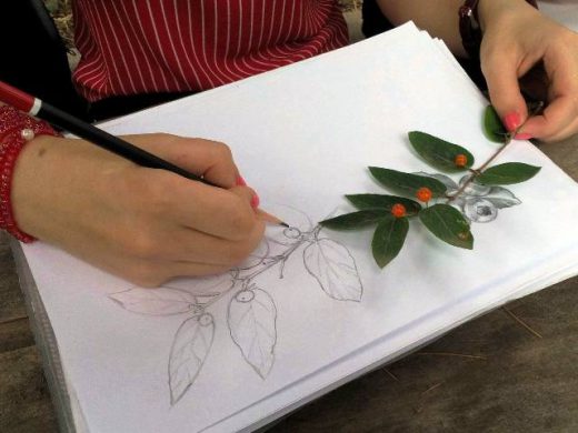 «Համակարգչային գրաֆիկա» I, «Դիզայն» I և II  կուրսերի ուսումնական պրակտիկան ավարտվեց