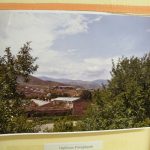 DSCN8936