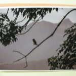 DSCN8950